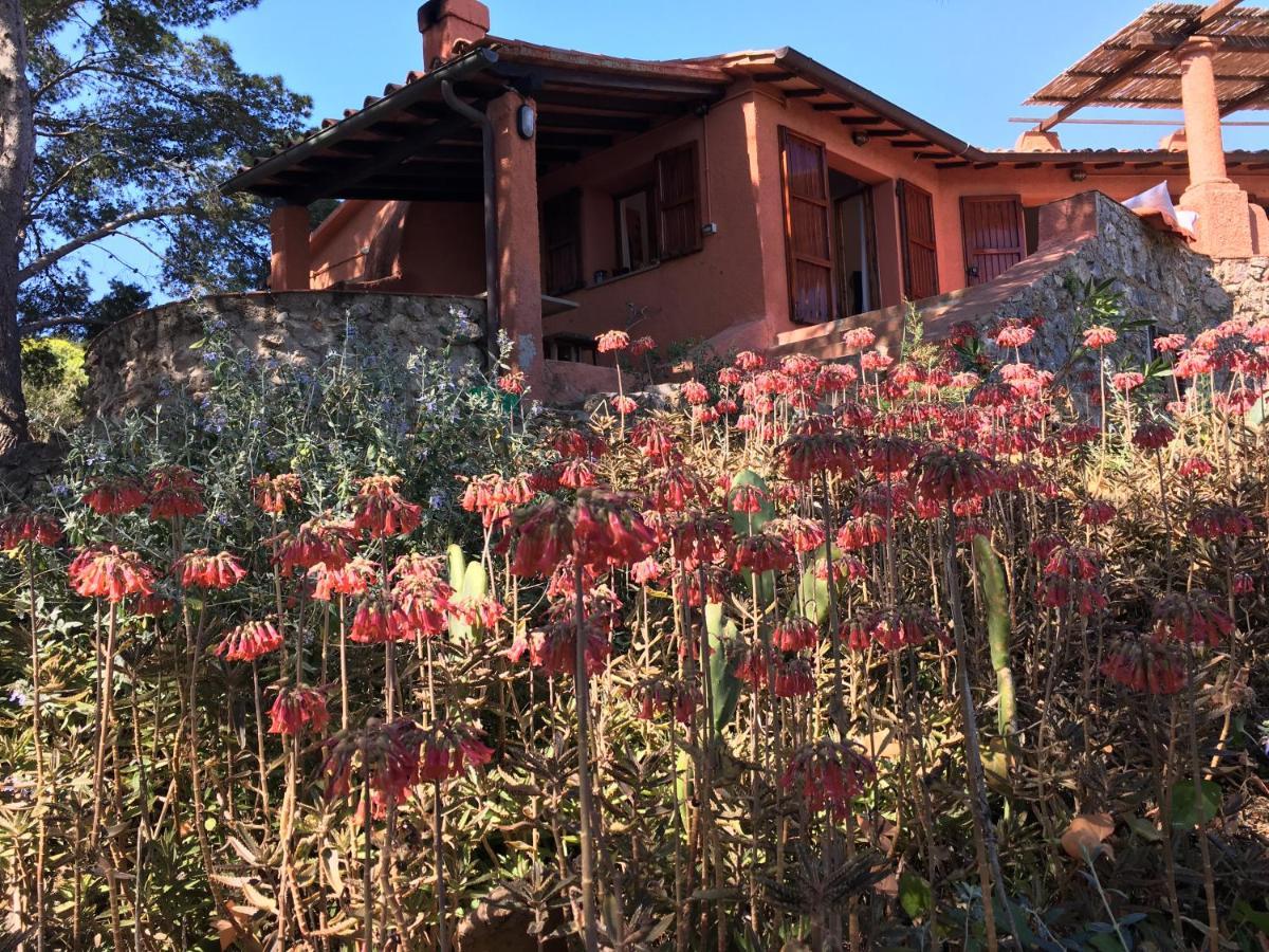 Bed and Breakfast Casa Diana Ізола-ді-Джианнутрі Екстер'єр фото