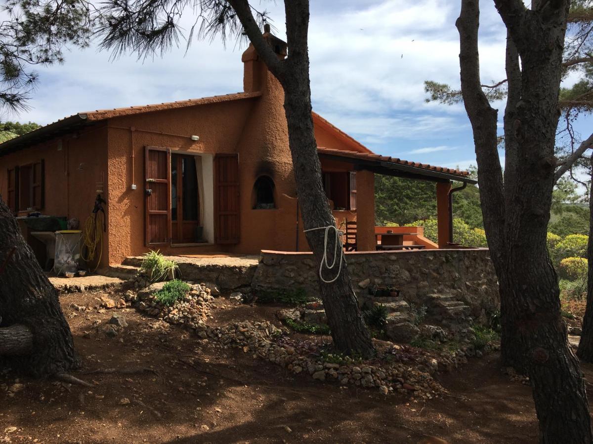 Bed and Breakfast Casa Diana Ізола-ді-Джианнутрі Екстер'єр фото